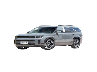 Лидер Продаж,Автоматическая Коробка Передач Carro,Подержанная,Santa Fe,2,0 T Pro,7 Мест,С Левым Рулевым Управлением,Кожаный Материал,Acc Cruise Fwd